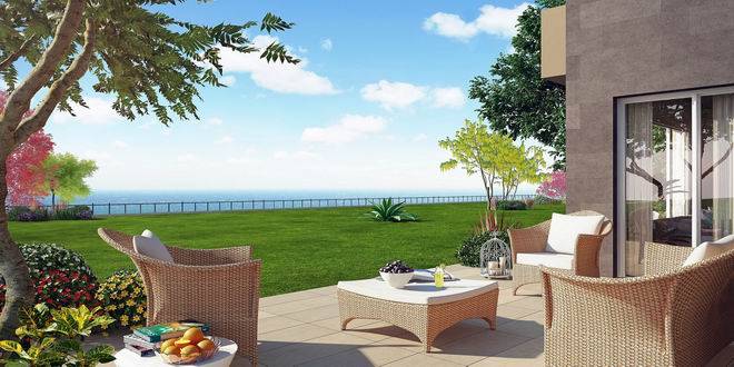 Dekar AsmalıHayatGorsel