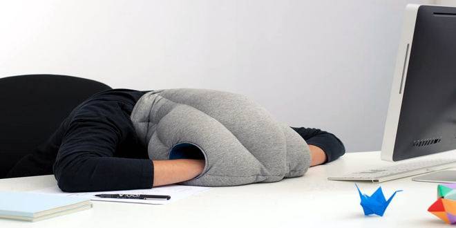 ostrich pillow yastık